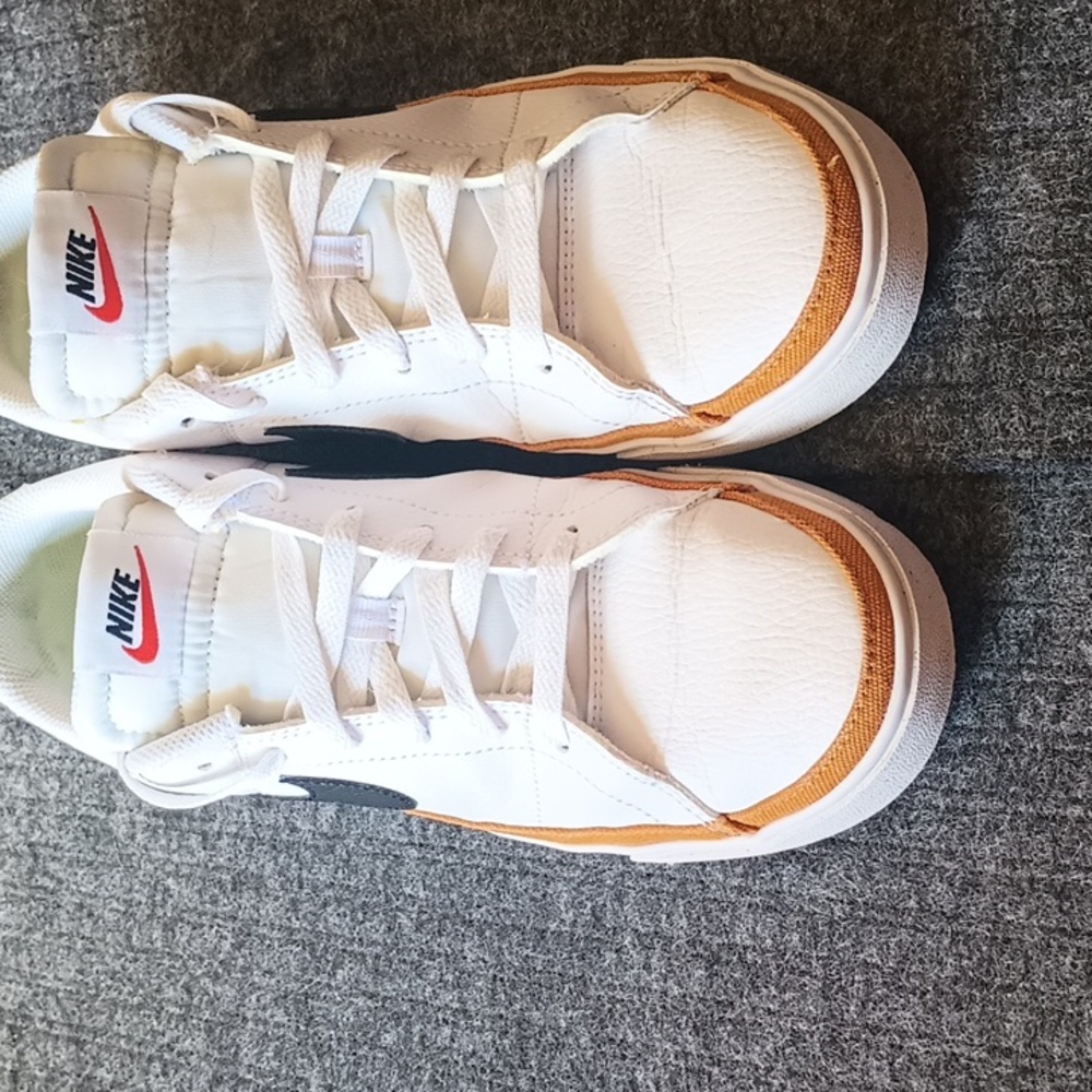 Nike Court Legacy Next Nature women's sneakers DH3161-100